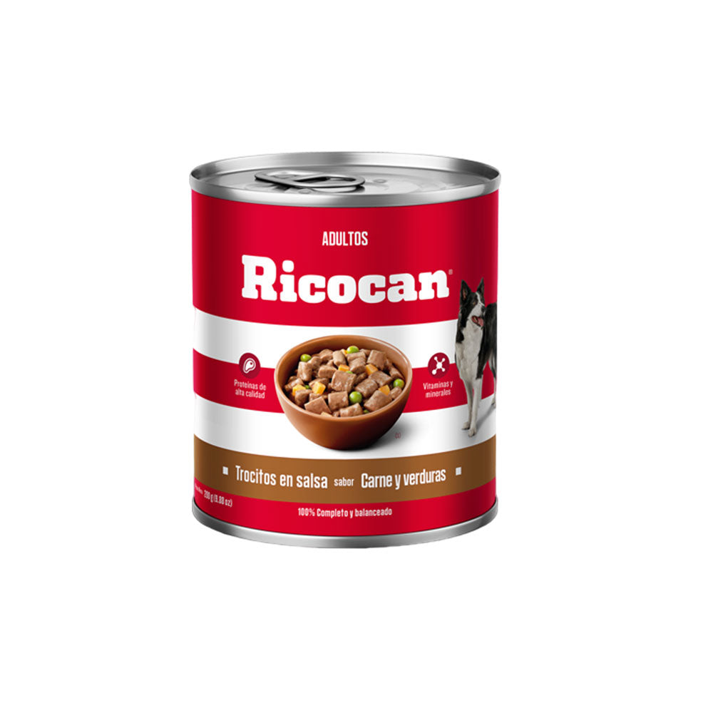Paté para Perros Ricocan de Carne y Verduras
